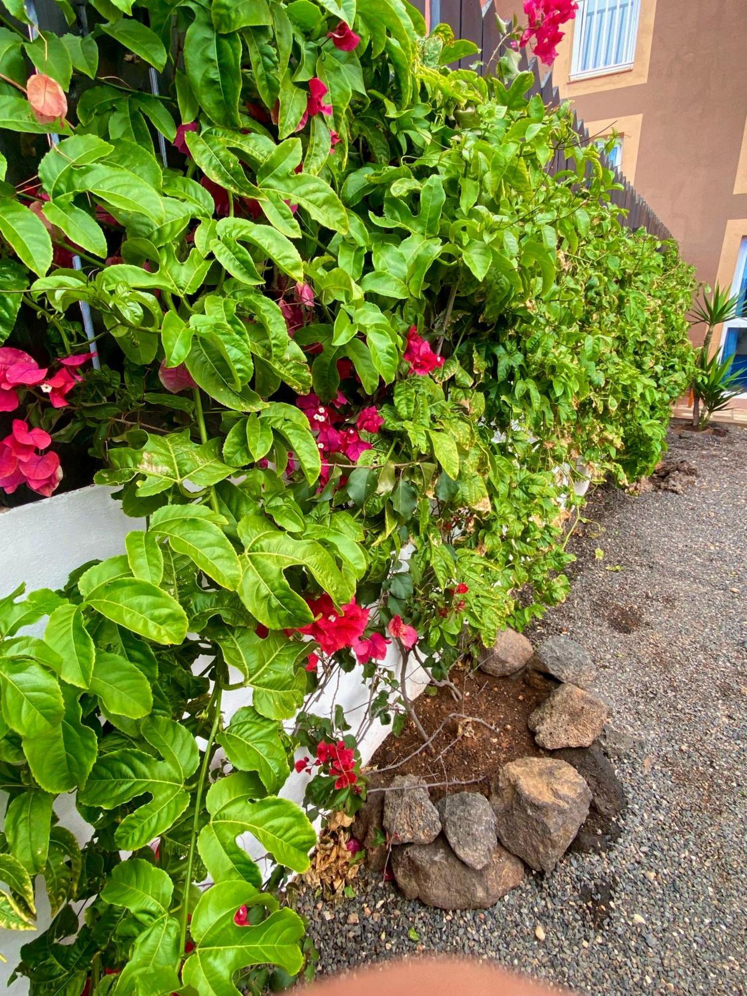 Blue Wave House Corralejo Apartment La Oliva Luaran gambar